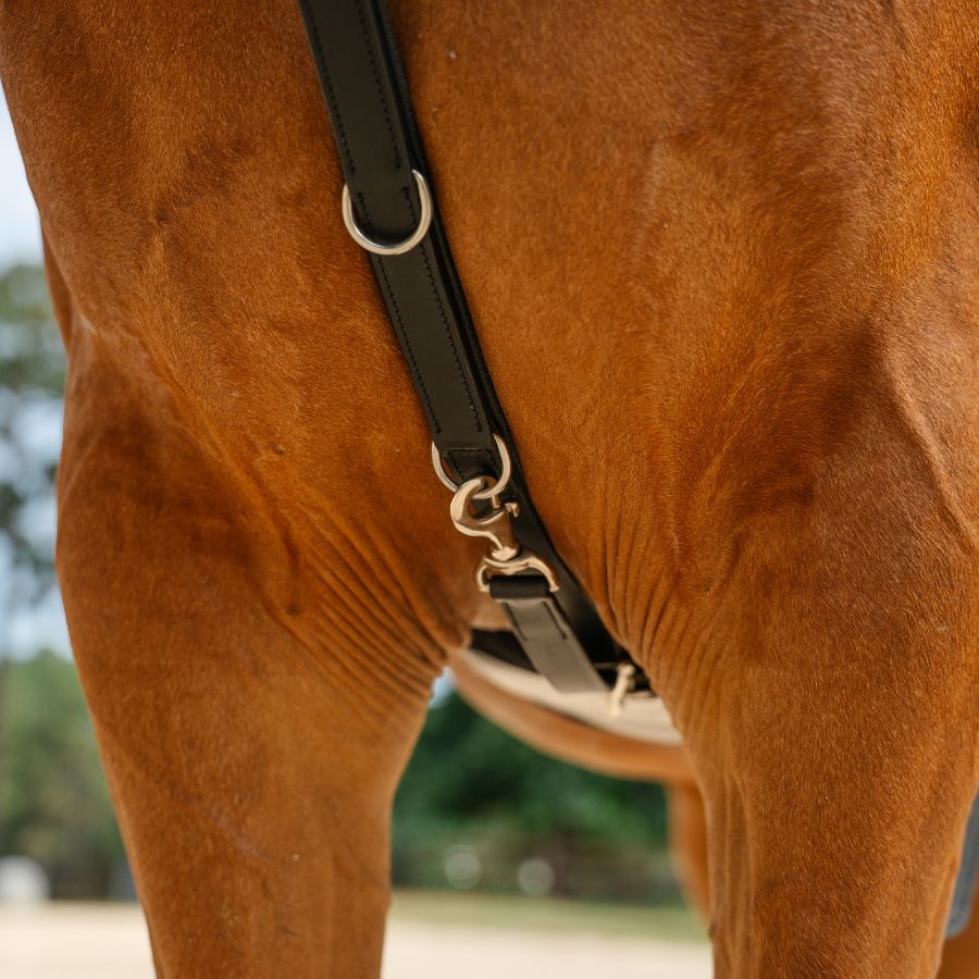 Therapeutic Equine Stretching System