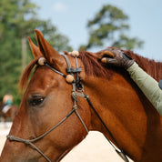 Therapeutic Equine Stretching System
