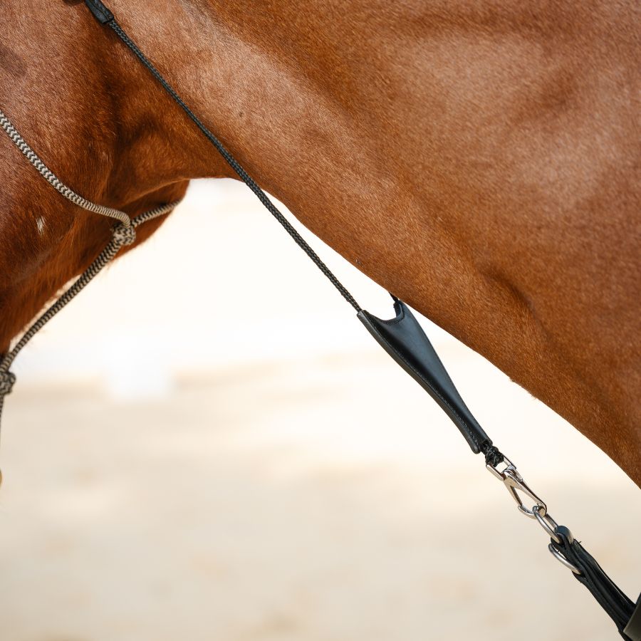 Therapeutic Equine Stretching System