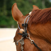 Therapeutic Equine Stretching System