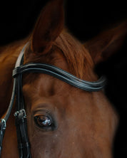 Double Noseband Bridle with White Stiching