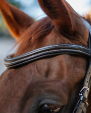 Double Noseband Bridle with White Stiching
