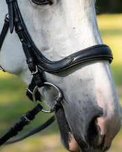 Versa Noseband