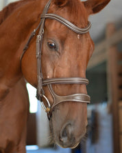 Double Noseband Bridle with White Stiching