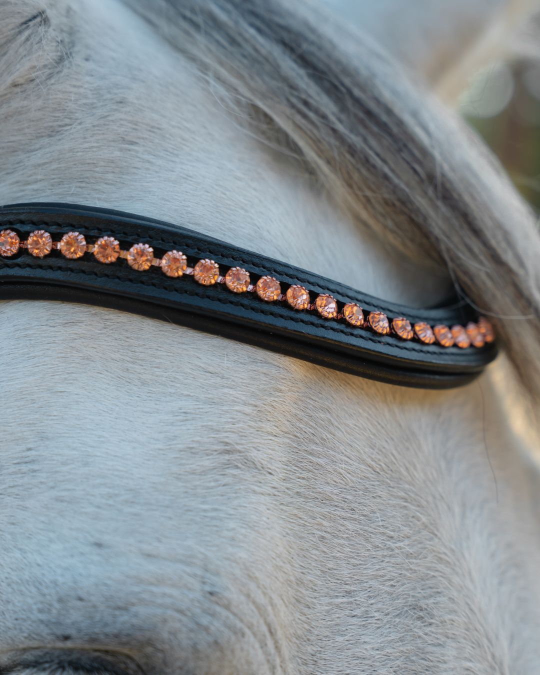 Bridle with Rose Gold Crystal Browband and Rose Gold Padding