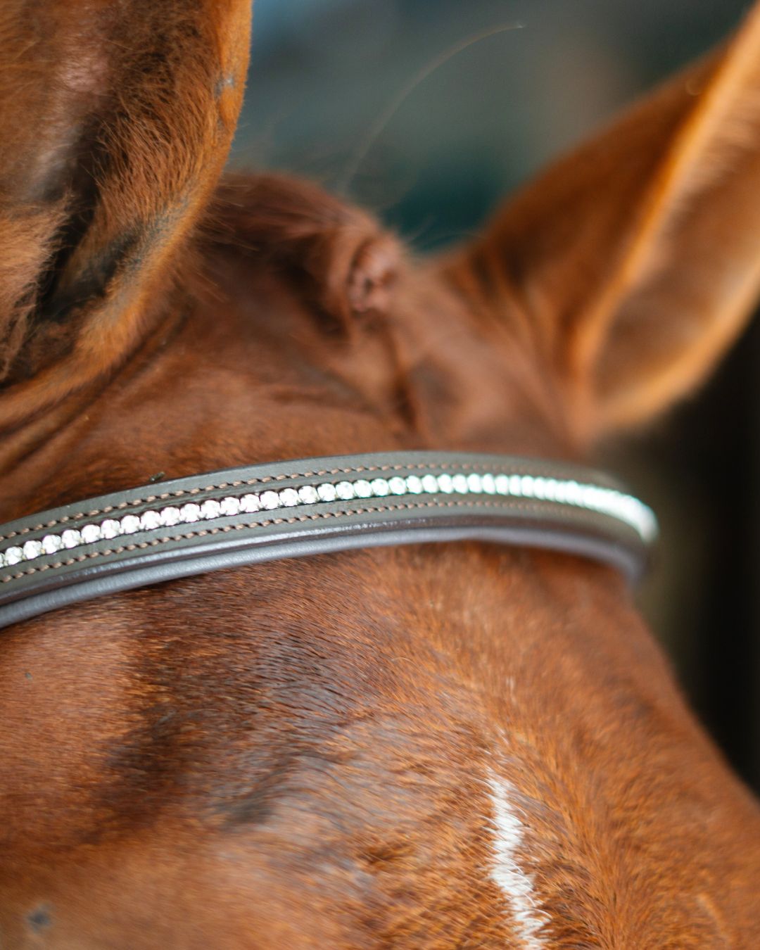 Anatomic Bridle with Crystal Browband