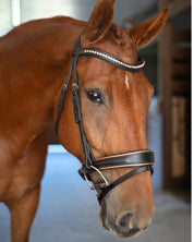 Bridle with Rose Gold Crystal Browband and Rose Gold Padding
