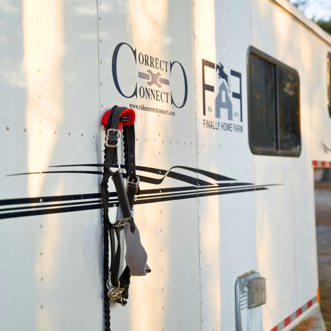 Suction Bridle Holder