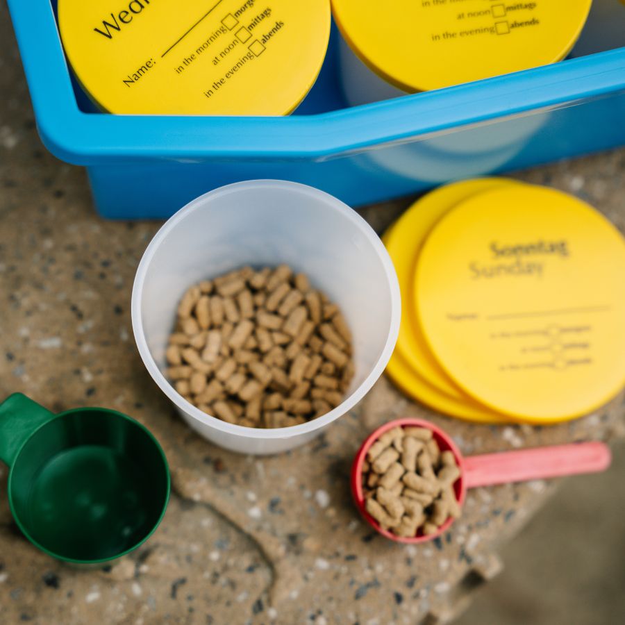 Weekly Supplement Planner