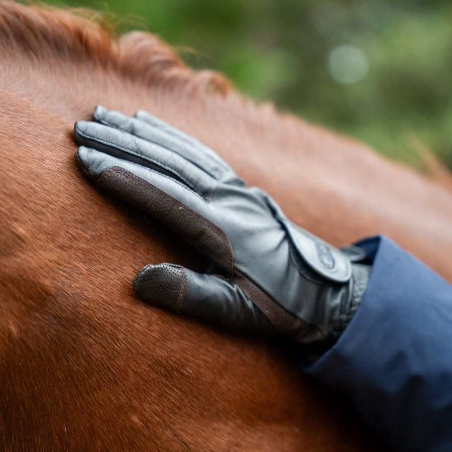 Cashmere Lined Leather Winter Glove