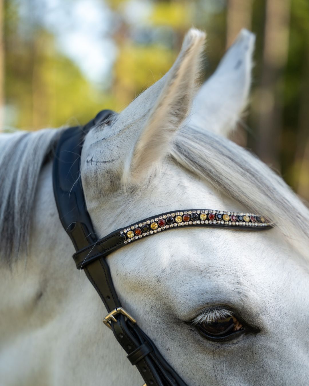 Evolve Comfort Bridle System