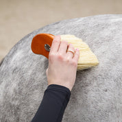 Royal Wooden Grooming Set