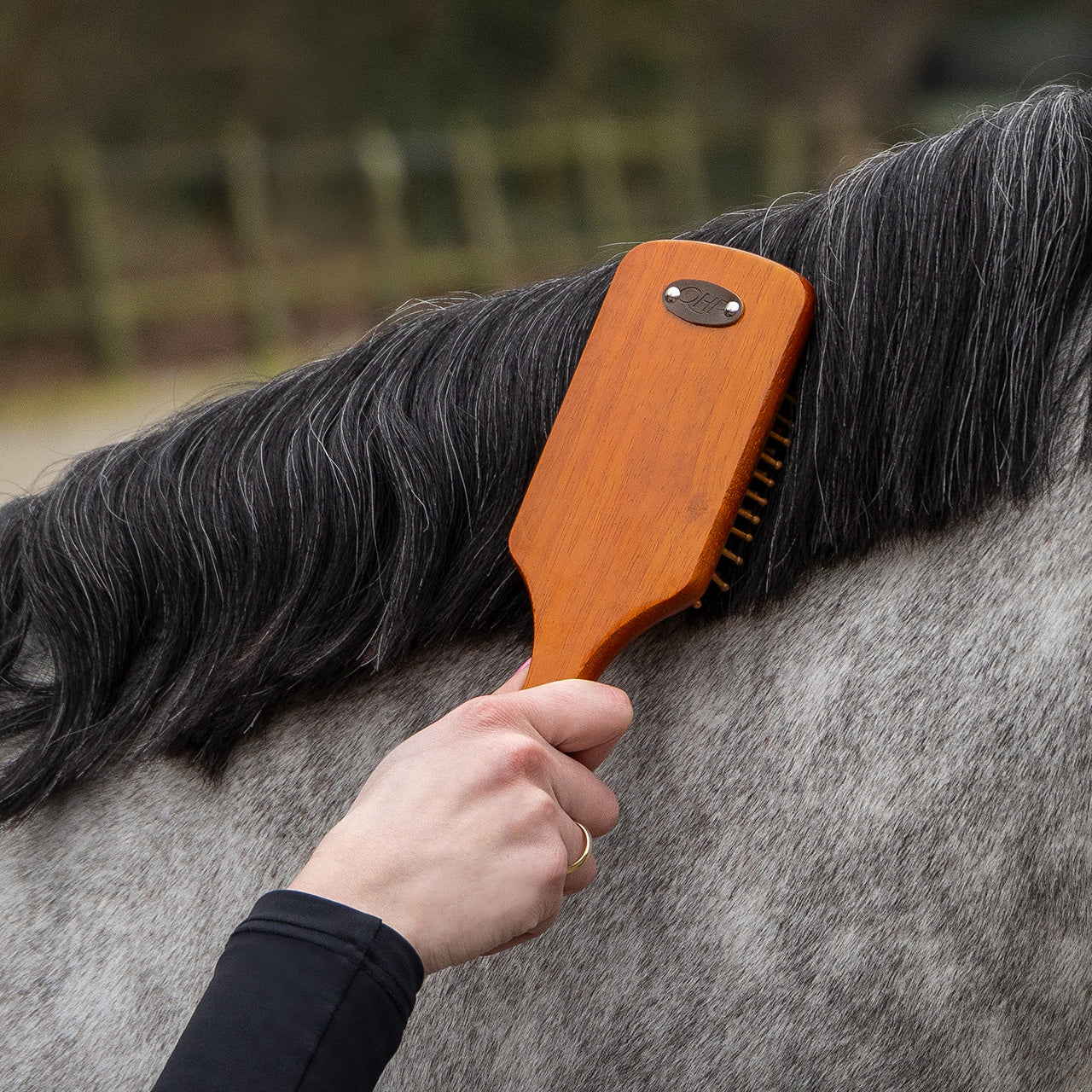Royal Wooden Grooming Set
