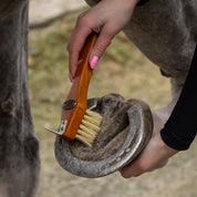 Royal Wooden Grooming Set