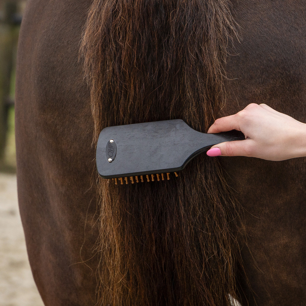 Royal Wooden Grooming Set