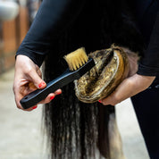 Royal Wooden Grooming Set
