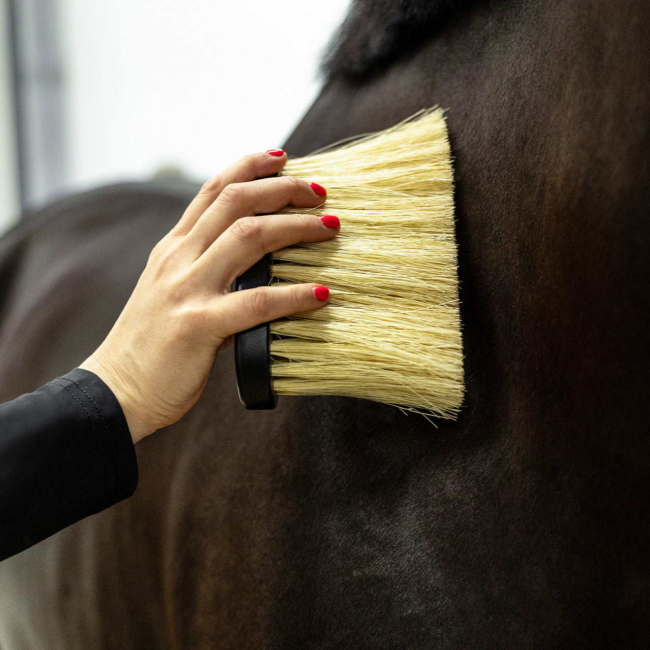 Royal Wooden Grooming Set