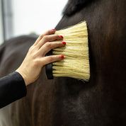 Royal Wooden Grooming Set