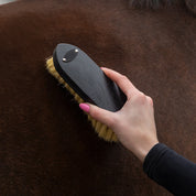 Royal Wooden Grooming Set