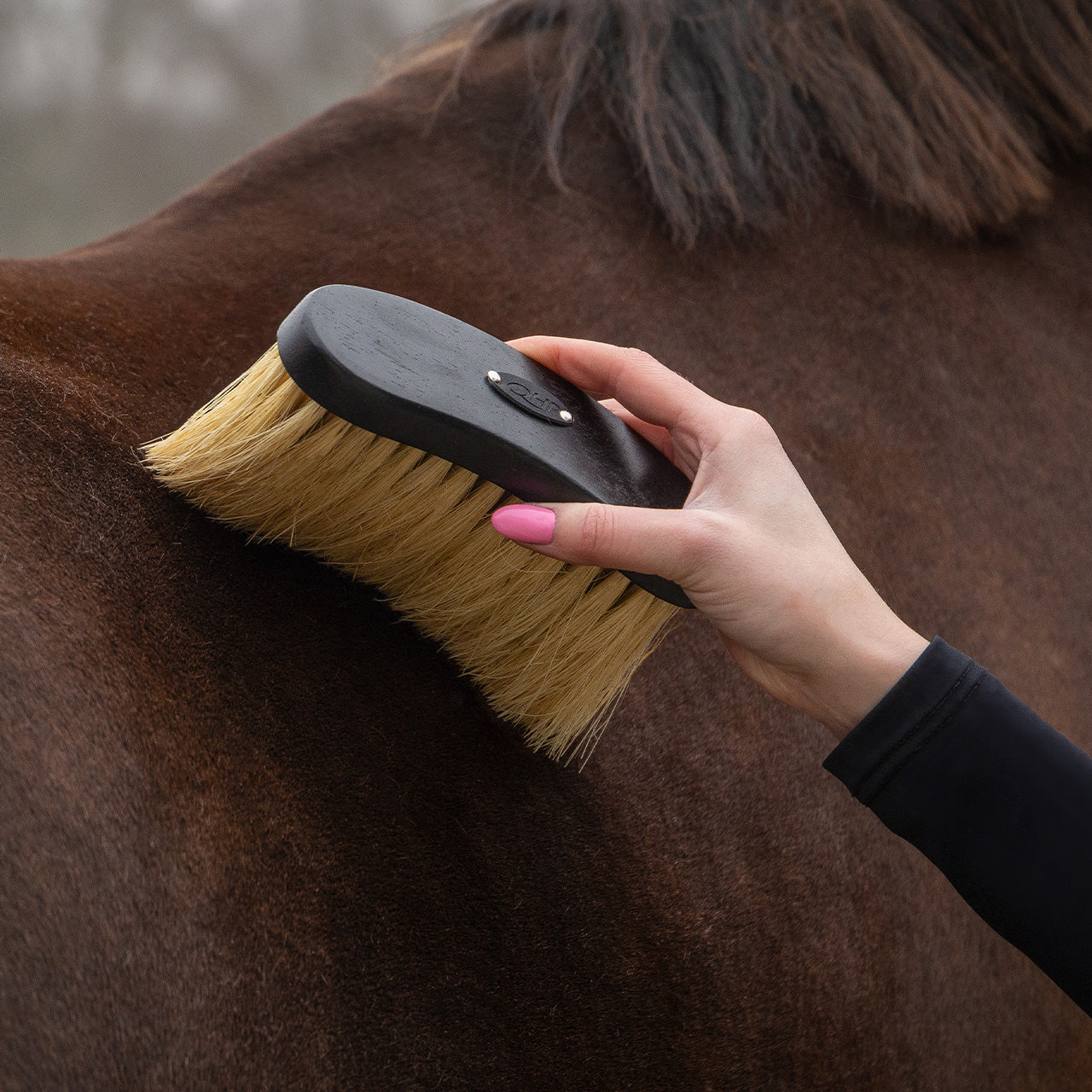 Royal Wooden Grooming Set