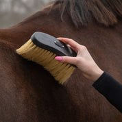 Royal Wooden Grooming Set