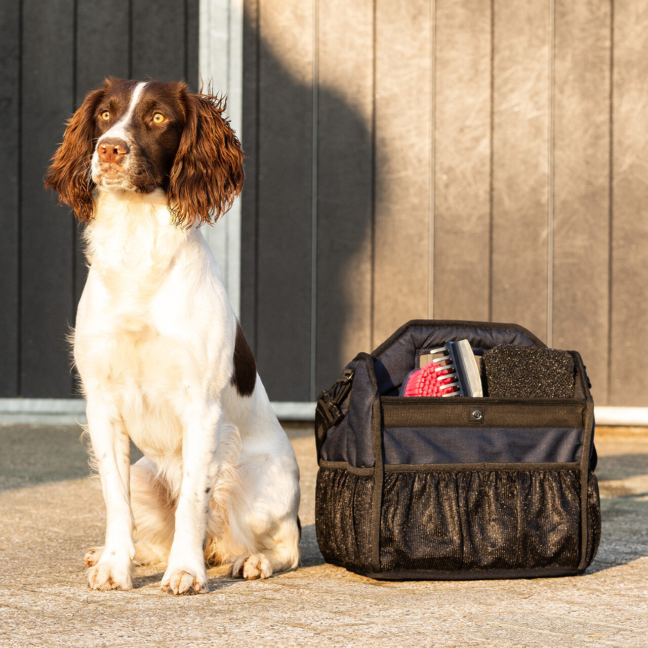 Mesh Grooming Bag in Navy