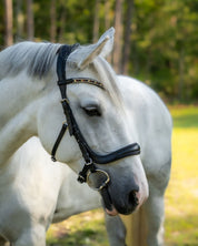 Evolve Comfort Bridle System