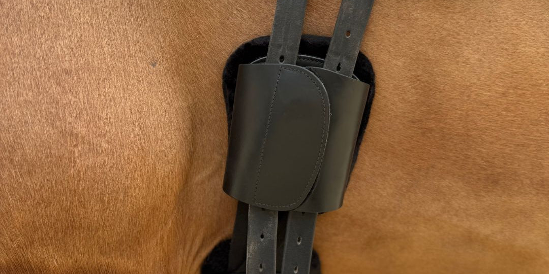 Correct Connect Correct Connect™ – Improve your riding, Improve your horse – CorrectConnect