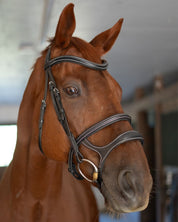 Double Noseband Bridle with White Stiching
