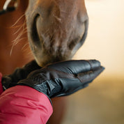 Cashmere Lined Leather Winter Glove