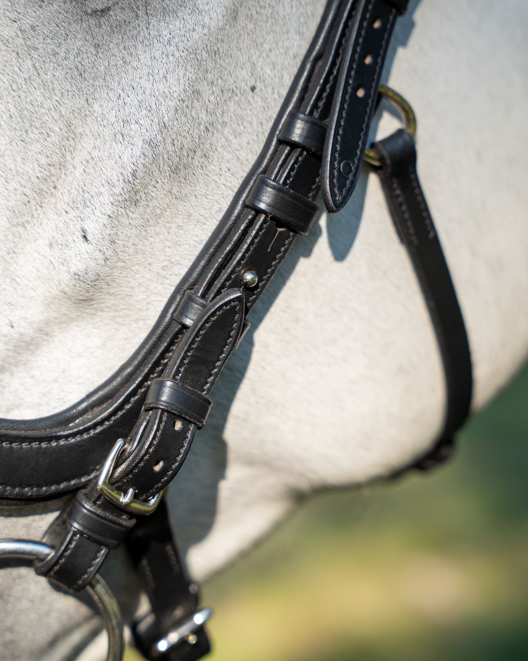 Evolve Comfort Bridle System