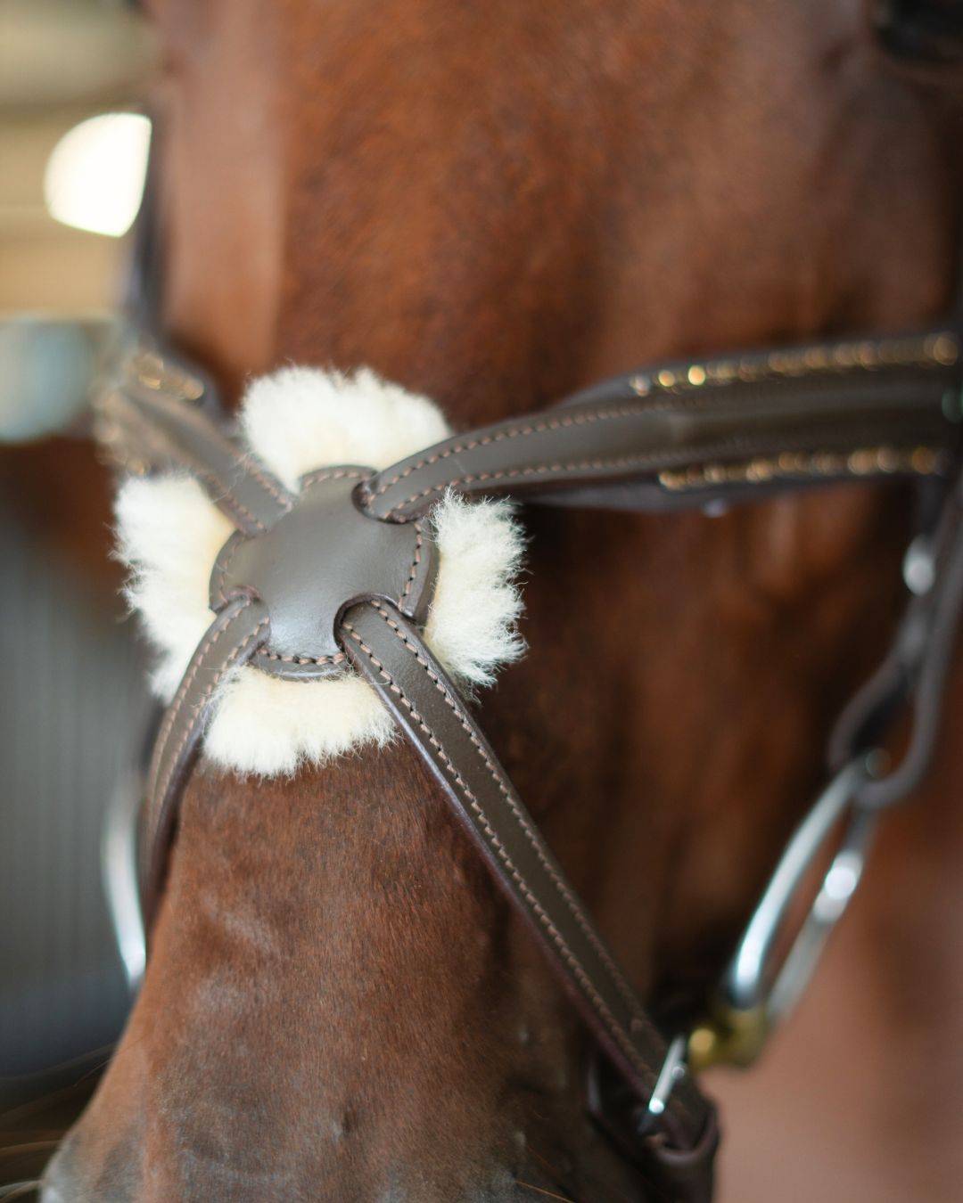 Gold Accented Figure 8 Bridle with Gold Browband