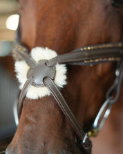 Gold Accented Figure 8 Bridle with Gold Browband