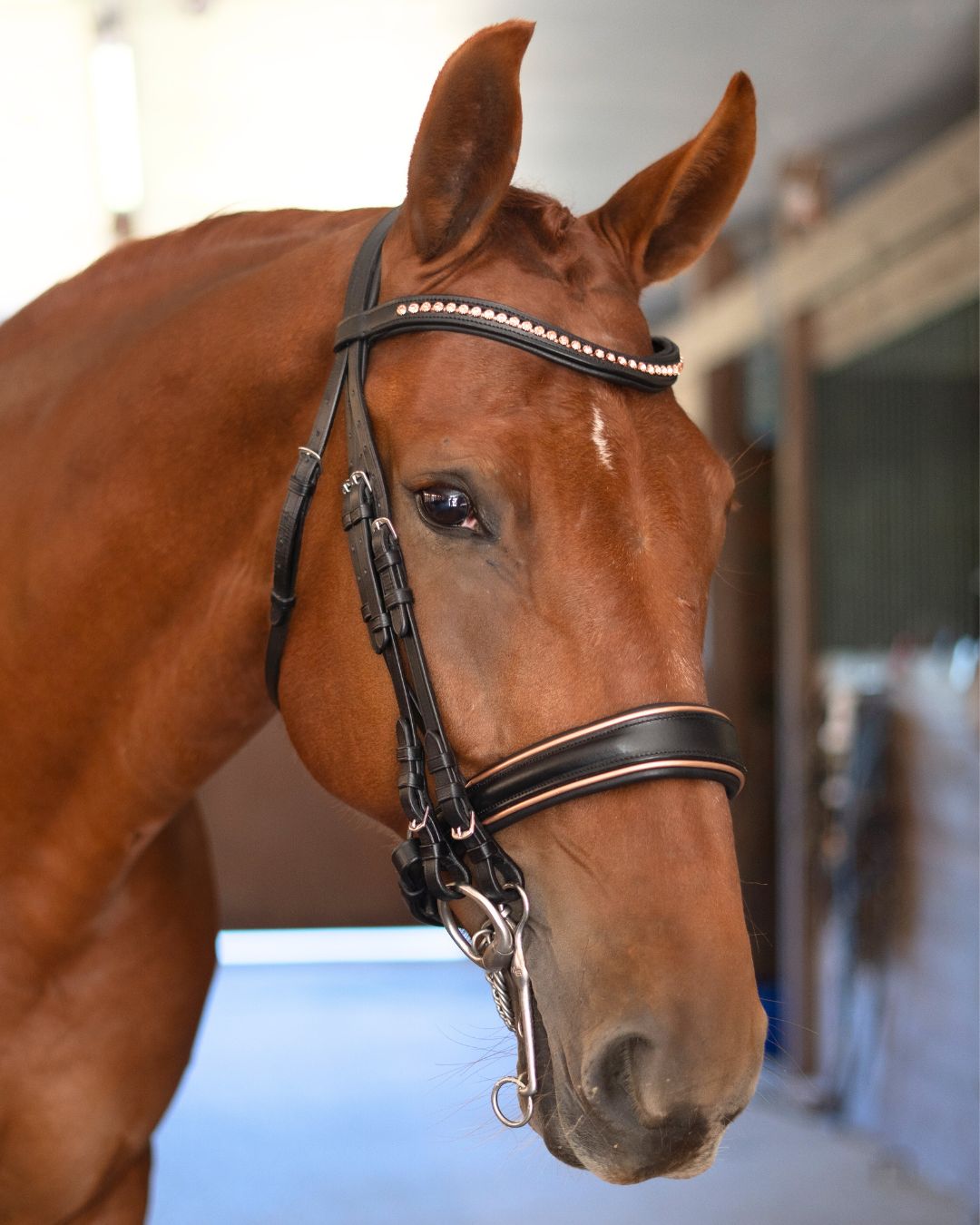 Double Bridle with Crystal Browband, Gold Padding and Reins