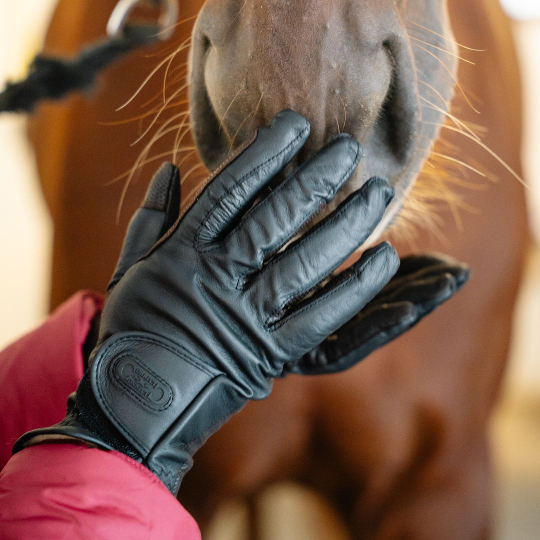 Cashmere Lined Leather Winter Glove