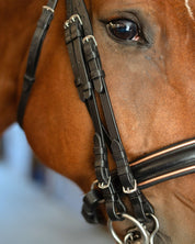 Double Bridle with Crystal Browband, Gold Padding and Reins