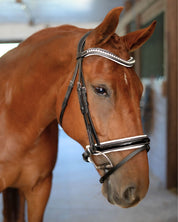 Patent Bridle with White Padding