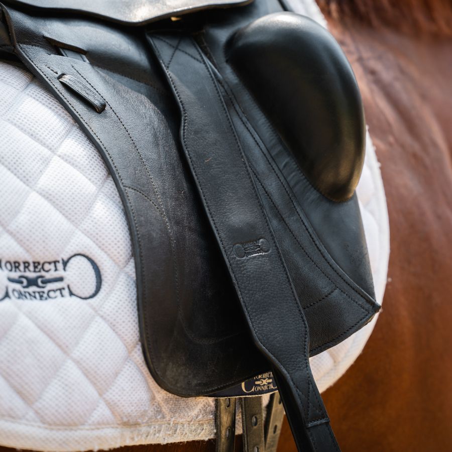 Stable Ride Mono-Stirrup Leather with T-Bars