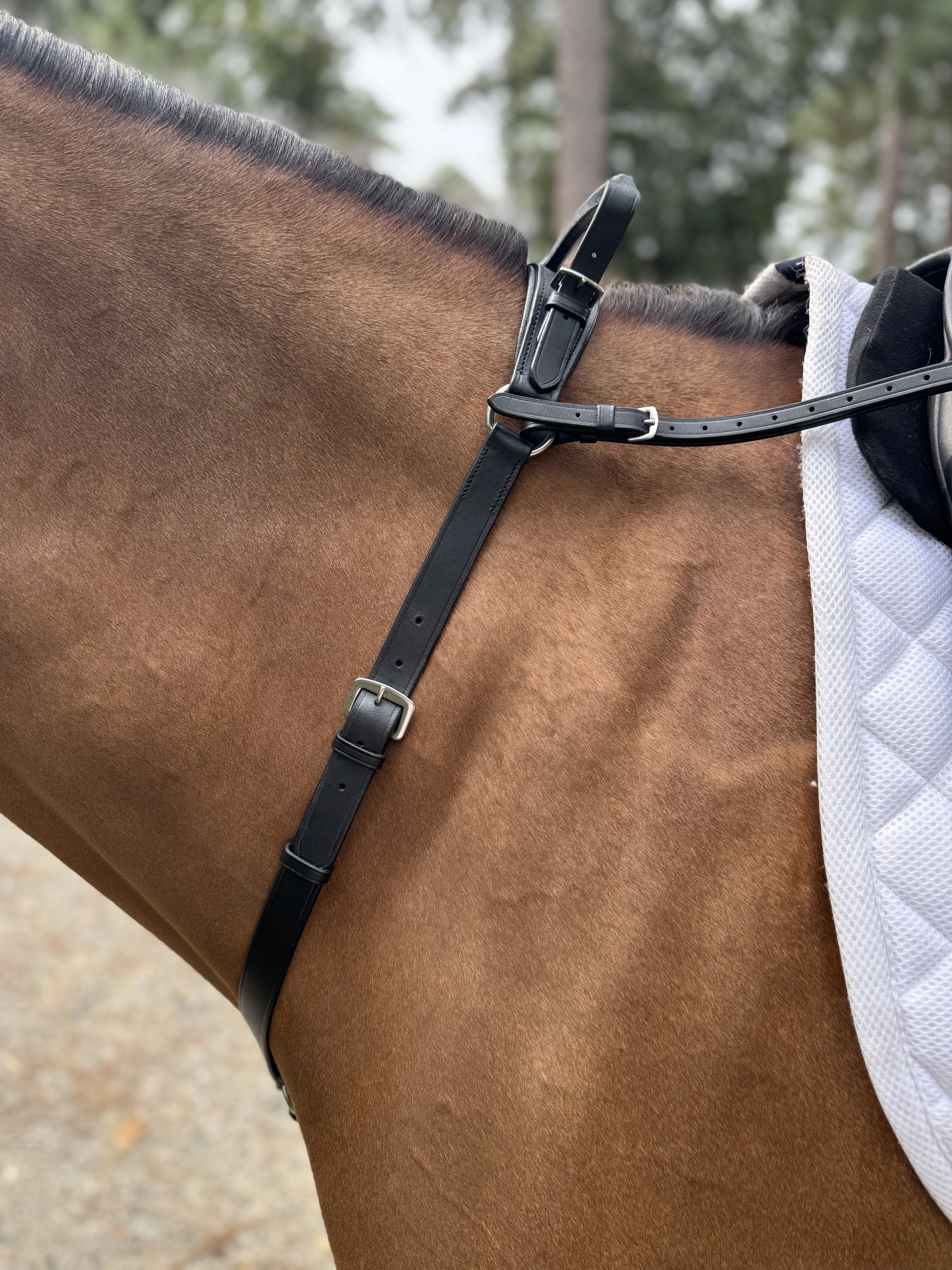 A side angle showing the black Correct Connect Double Neck Strap on a horse.