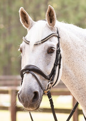 CLEARANCE!  Pro-Fit Comfortable Bridle in Havana Brown or Black with Flash Noseband and Clincher Browband
