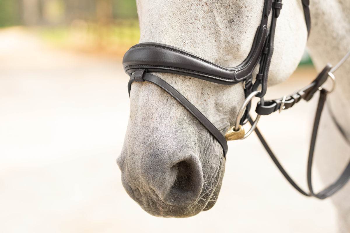 CLEARANCE Hidden Flash!  Pro-Fit Comfortable Bridle in Havana Brown or Black with Flash Noseband and Clincher Browband