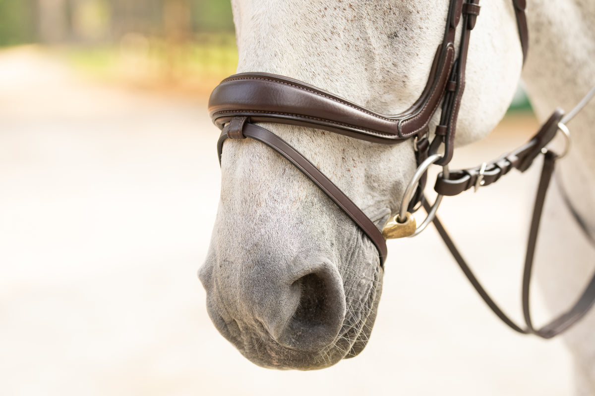 Pro-Fit Comfortable Bridle in Havana Brown or Black with Flash Noseband and Clincher Browband