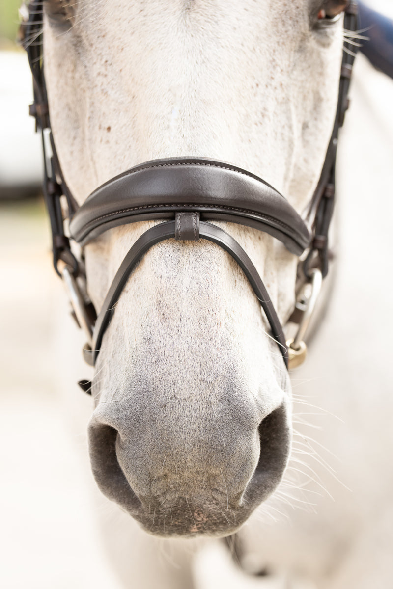 CLEARANCE Hidden Flash!  Pro-Fit Comfortable Bridle in Havana Brown or Black with Flash Noseband and Clincher Browband