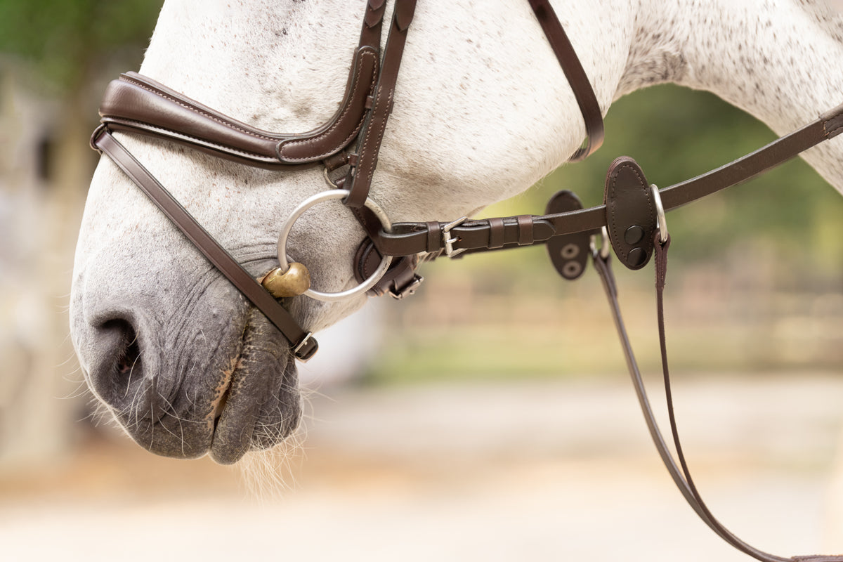 CLEARANCE!  Pro-Fit Comfortable Bridle in Havana Brown or Black with Flash Noseband and Clincher Browband