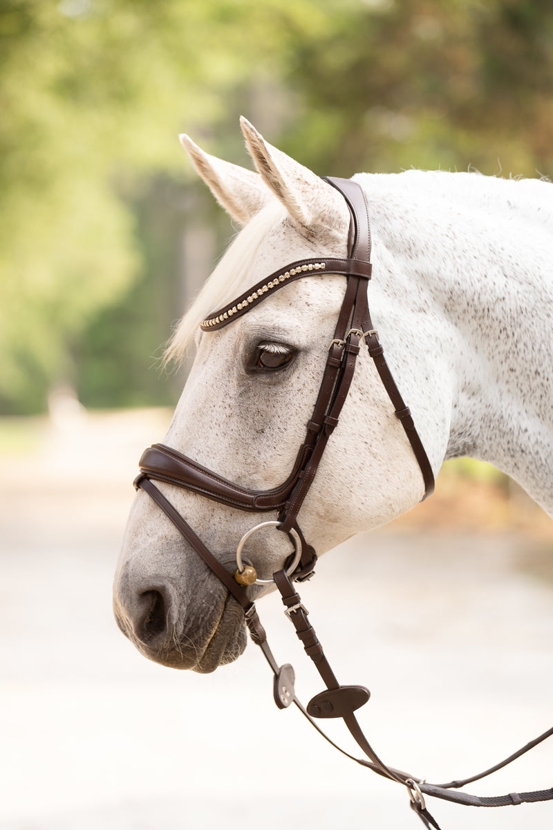 CLEARANCE!  Pro-Fit Comfortable Bridle in Havana Brown or Black with Flash Noseband and Clincher Browband - EU/UK