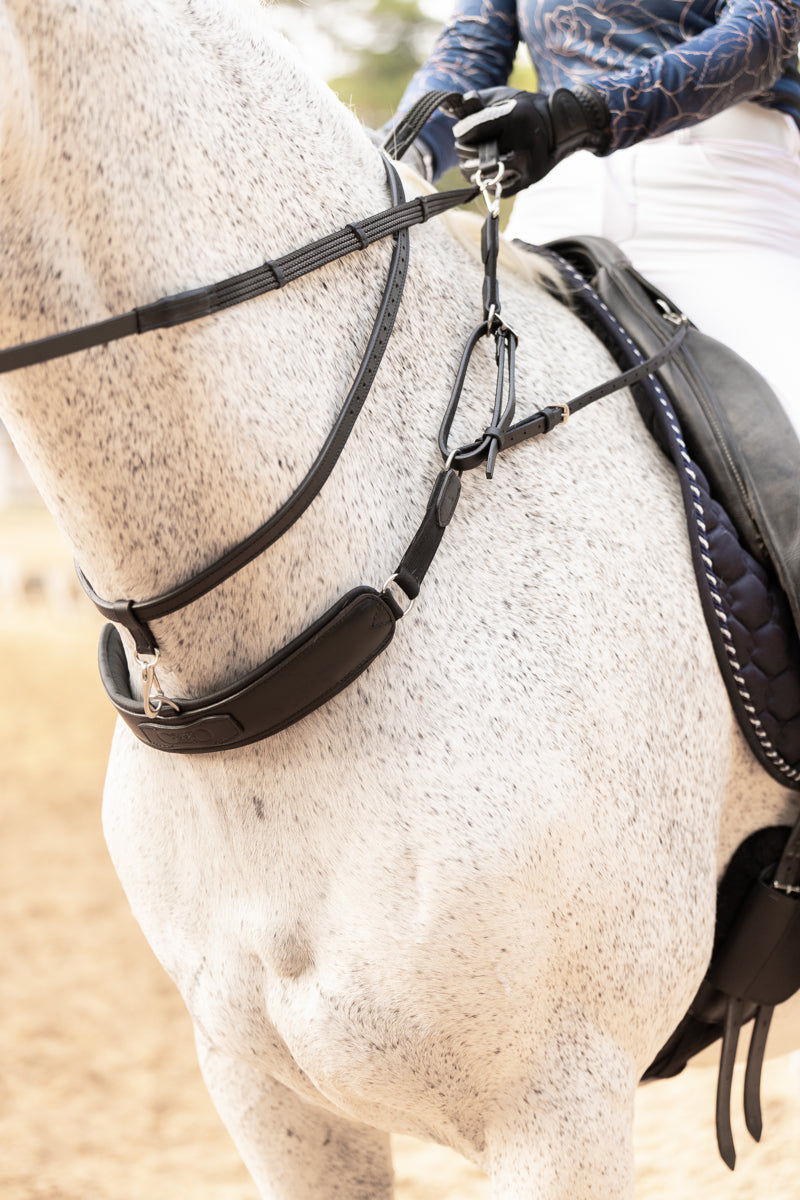 3-in-1 Training Breastplate-The Best Training Aid to help with Balance and Connection