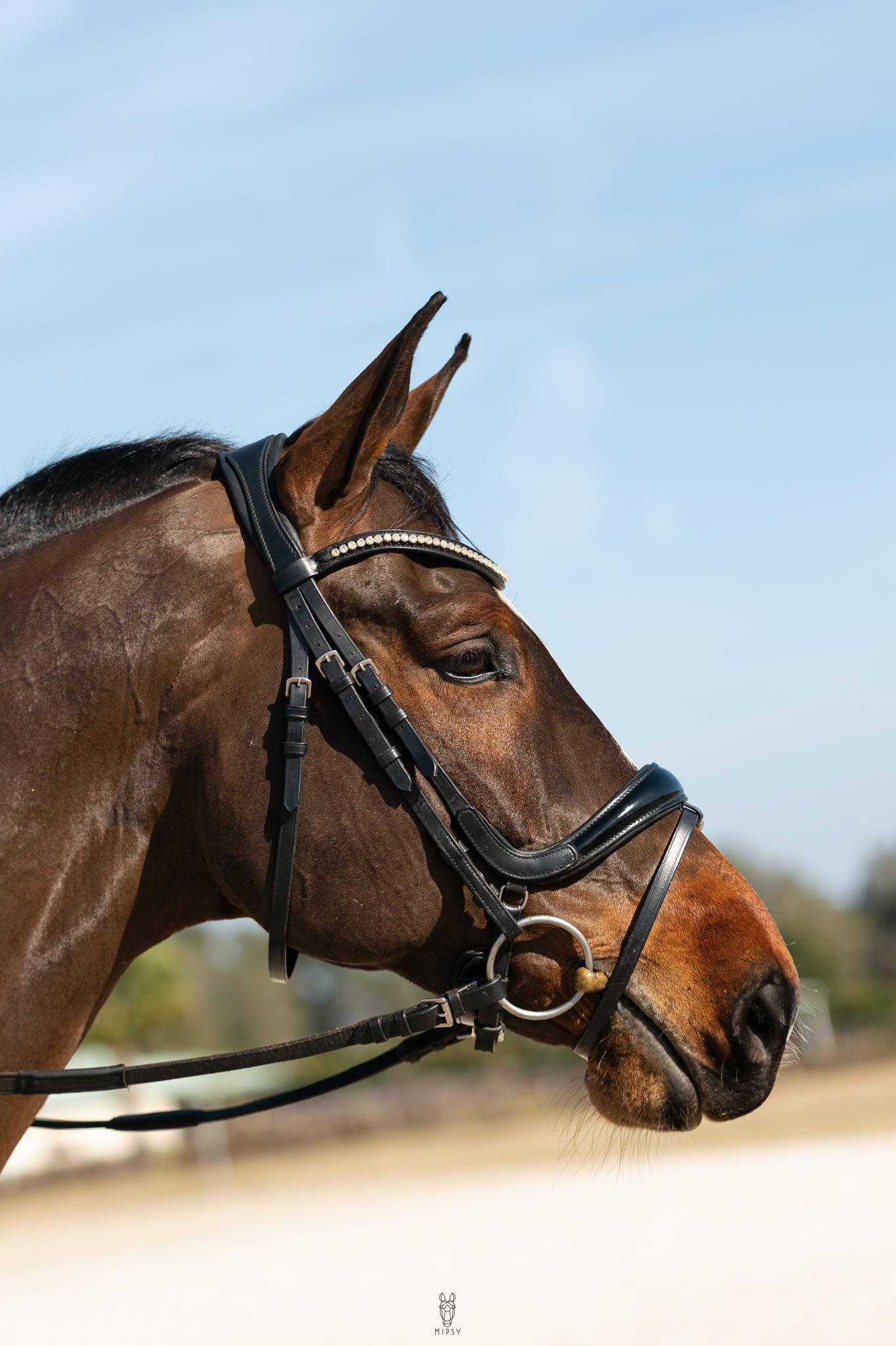 CLEARANCE Hidden Flash!  Pro-fit Comfortable Bridle with Patent Noseband and Crystal Browband