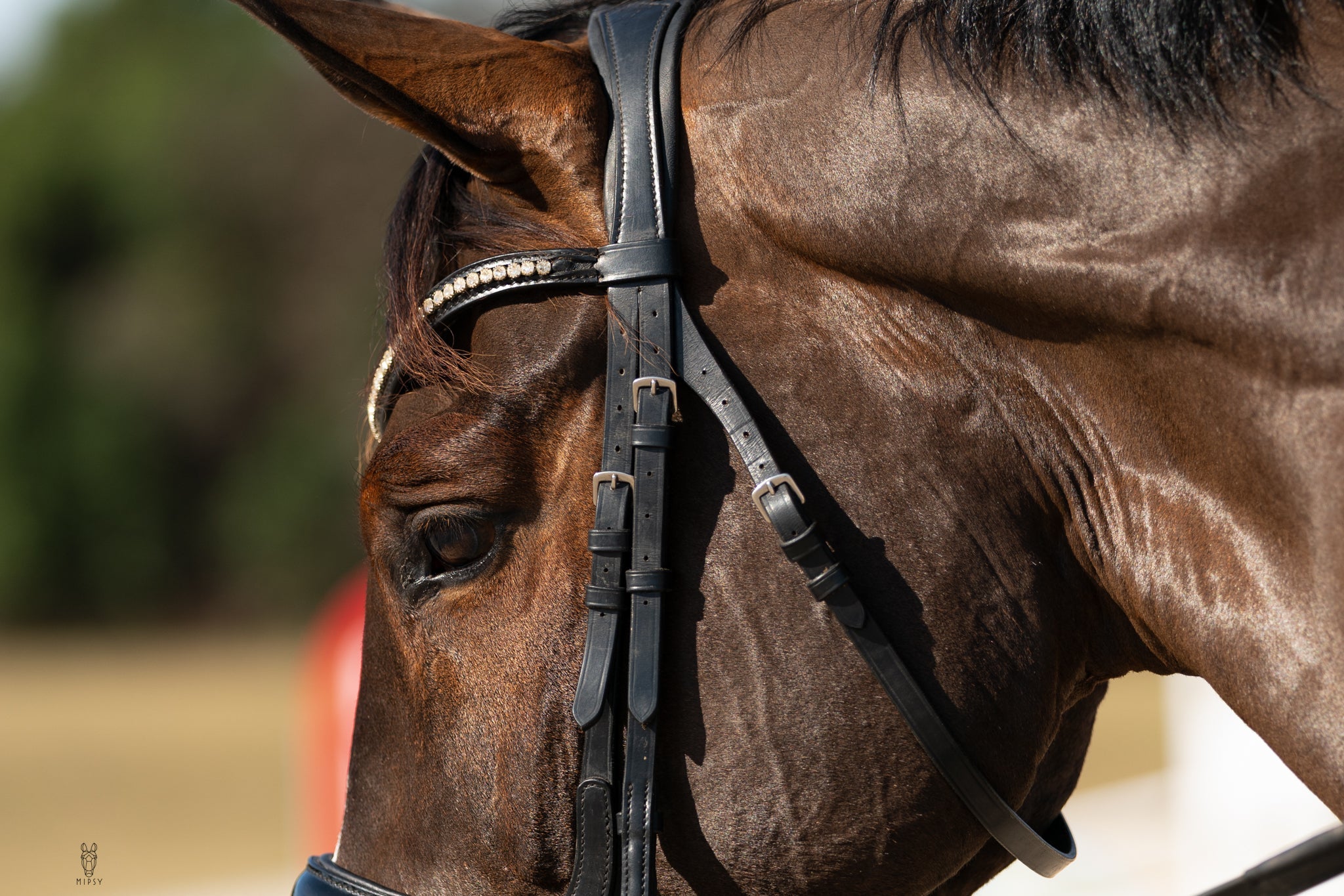 CLEARANCE! Bridle with Patent Noseband and Crystal Browband - EU/UK
