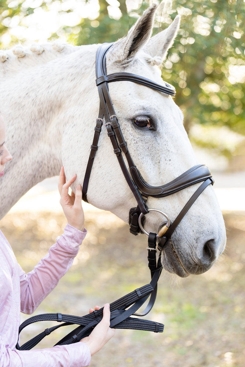 Hidden Flash!  Pro-Fit Comfortable Bridle in Havana Brown