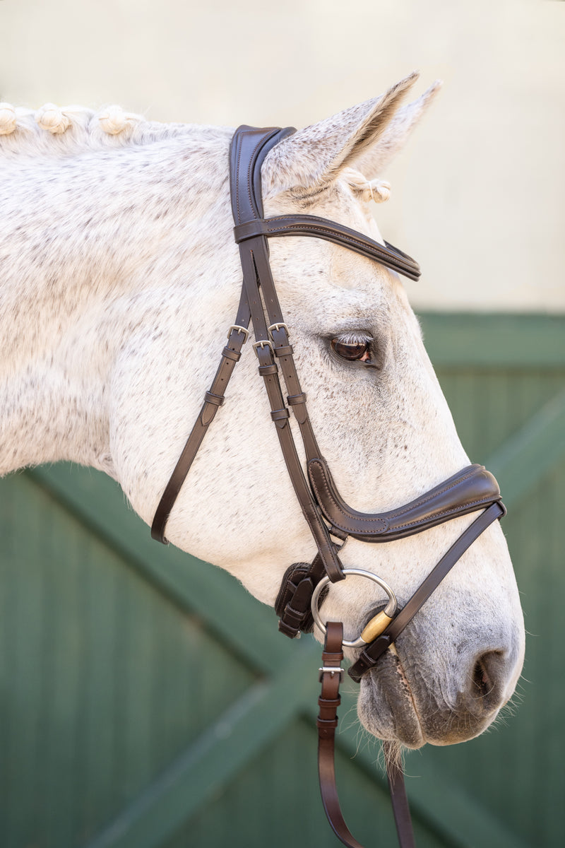 Hidden Flash! Pro-fit Comfortable Bridle in Brown